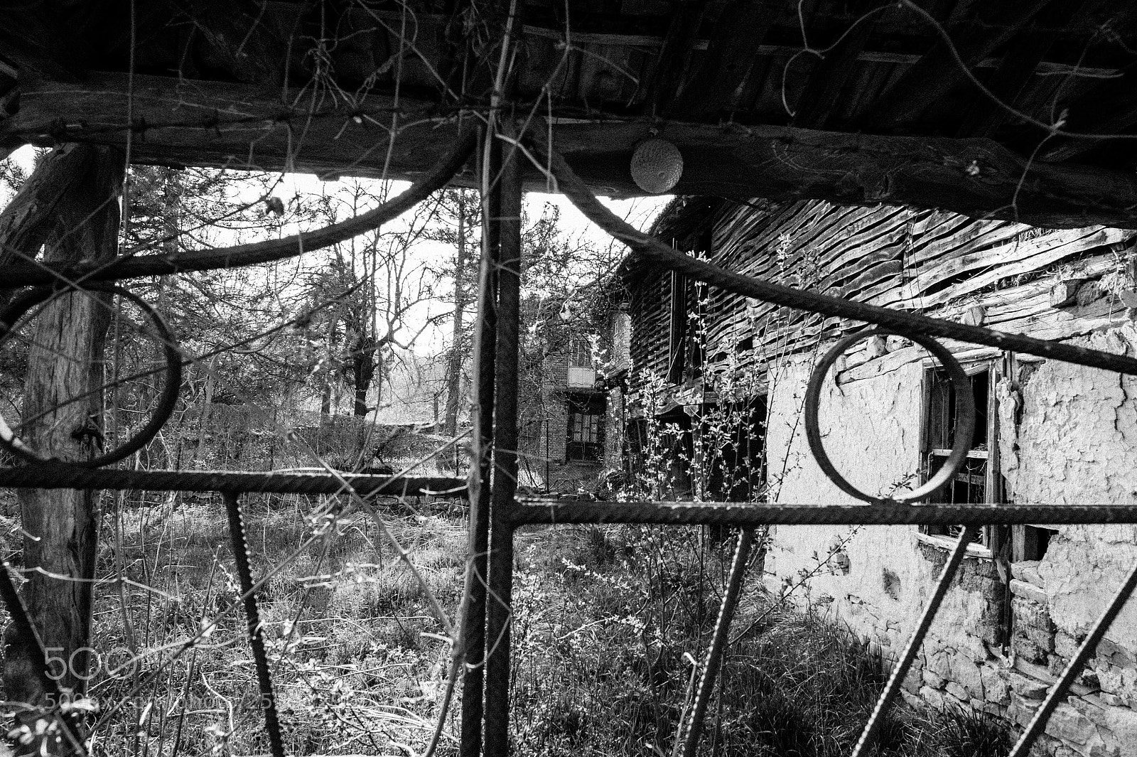 Nikon D700 sample photo. Abandoned 6 photography