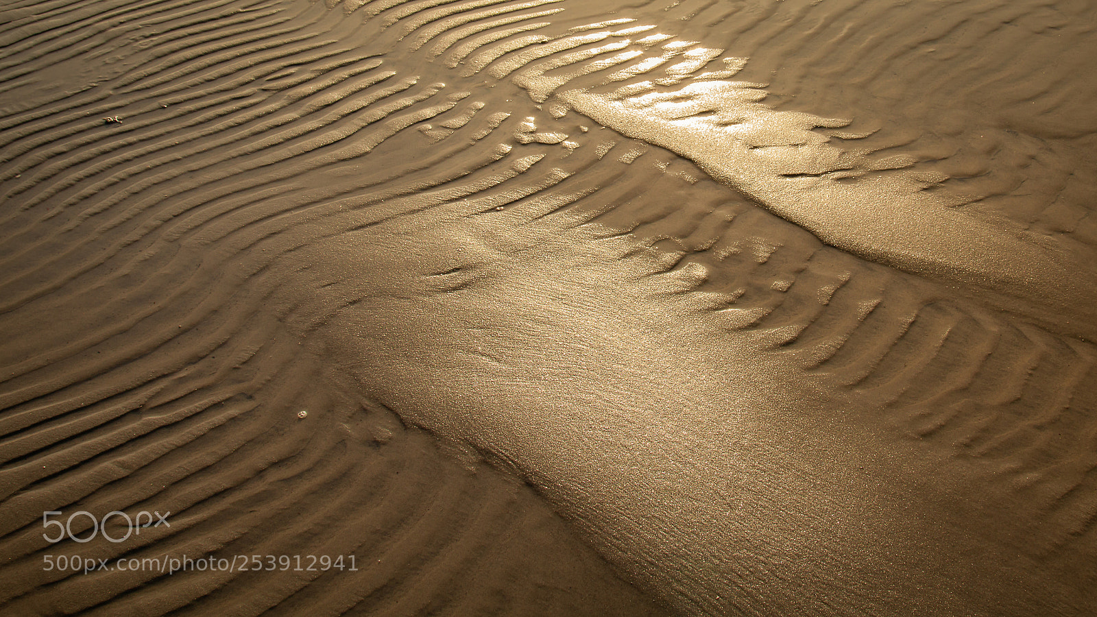 Canon EOS 70D sample photo. Golden beach photography