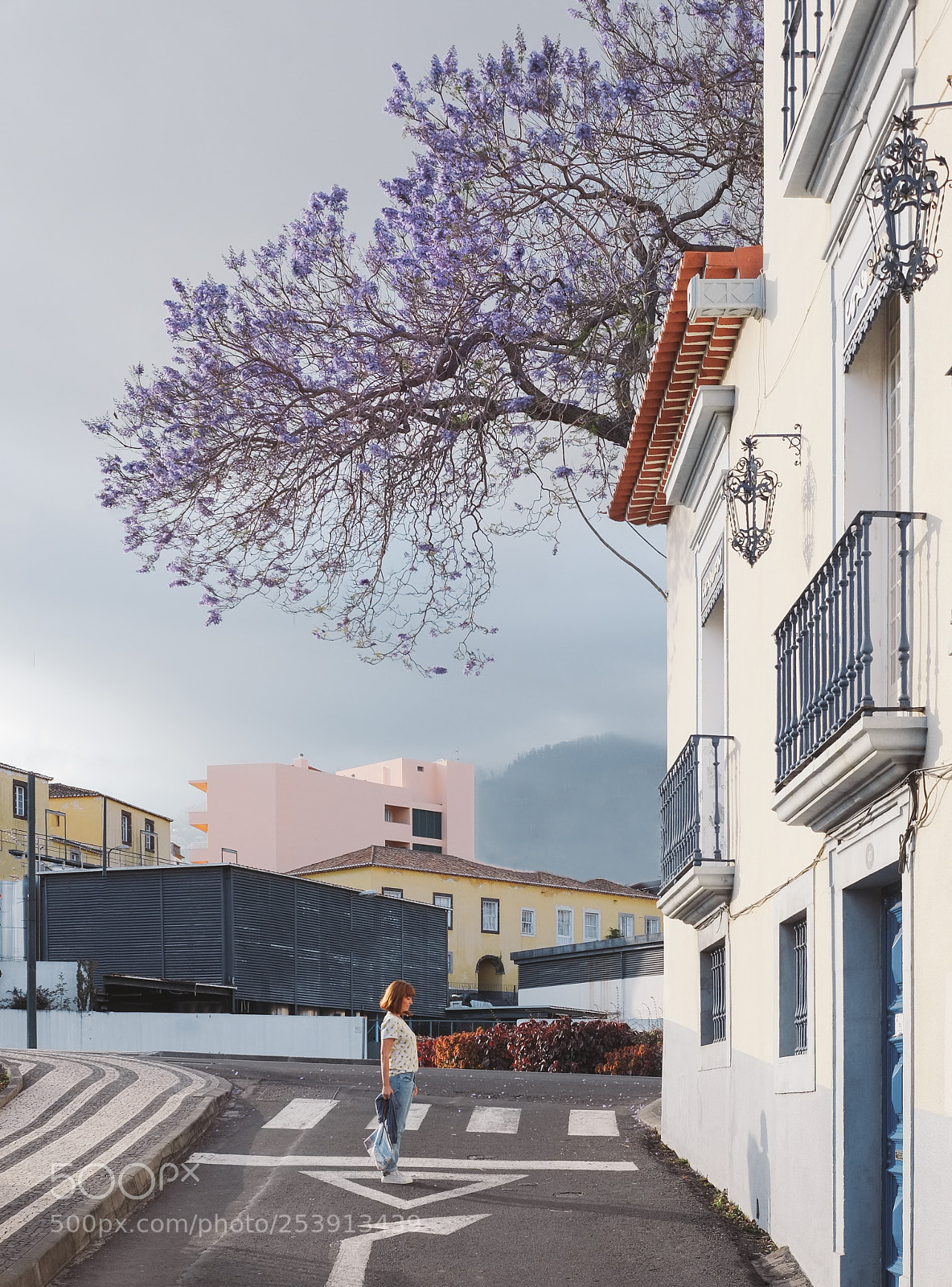 Fujifilm X-Pro1 sample photo. Purple time on madeira photography