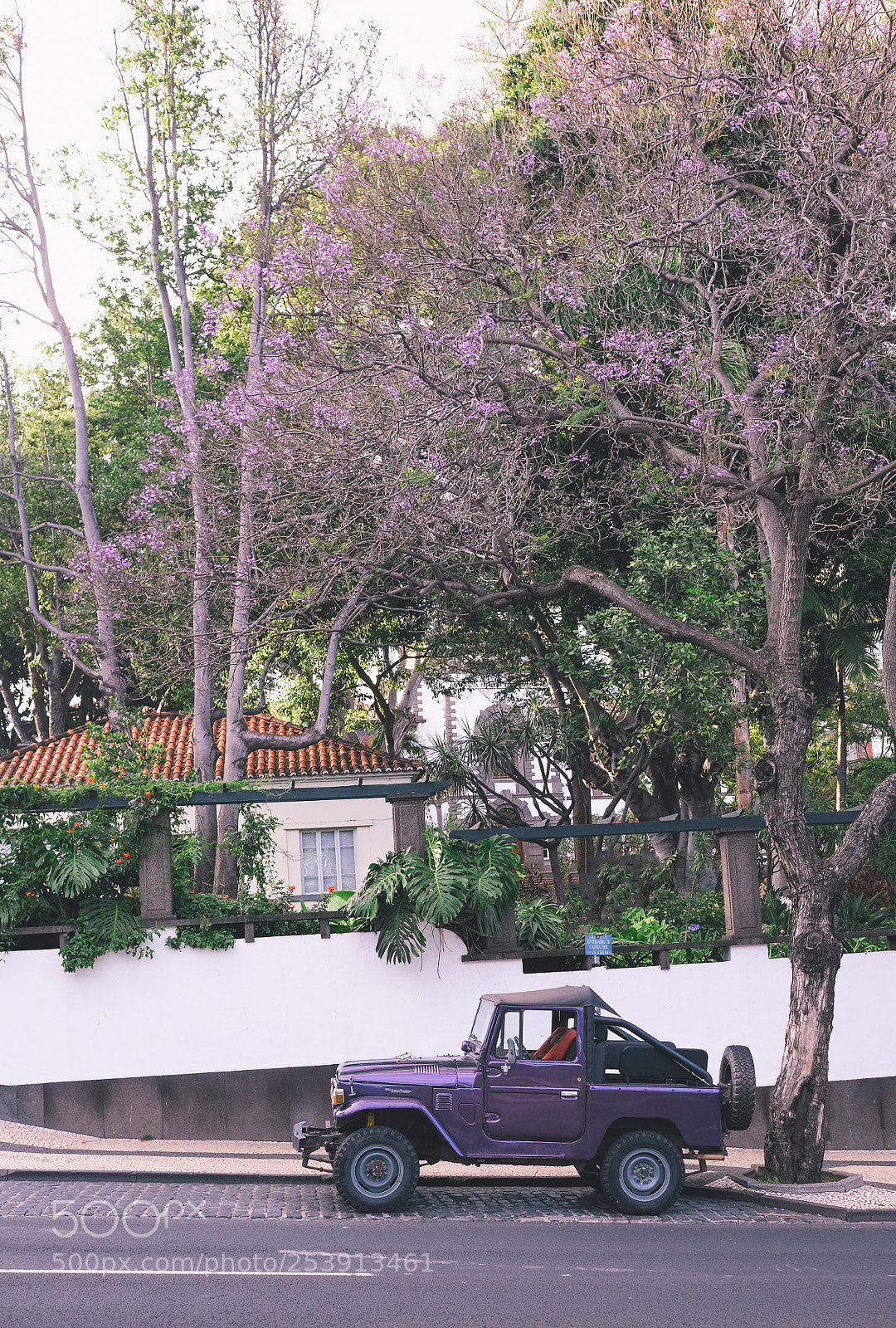 Fujifilm X-Pro1 sample photo. Purple time on madeira photography