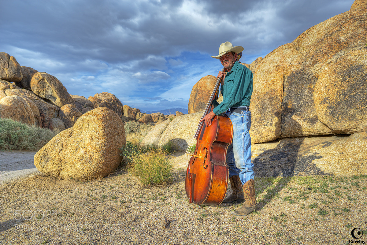 Nikon D800E sample photo. Milt and his bass photography