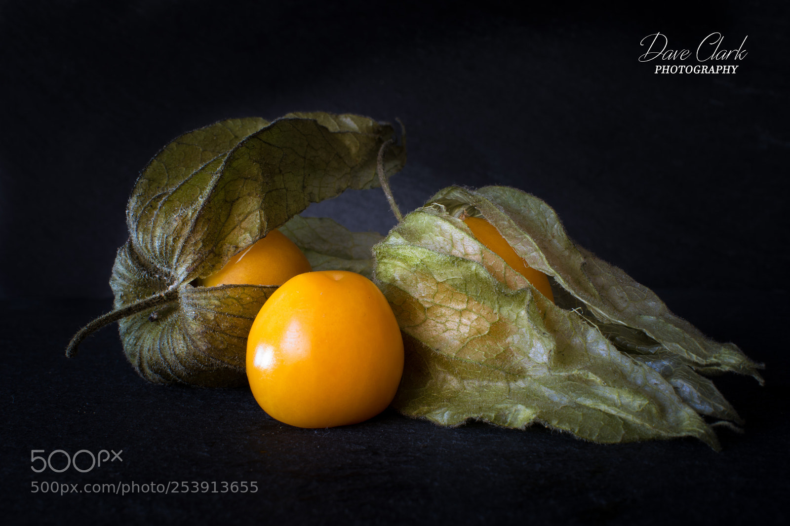 Nikon D3300 sample photo. Physalis photography