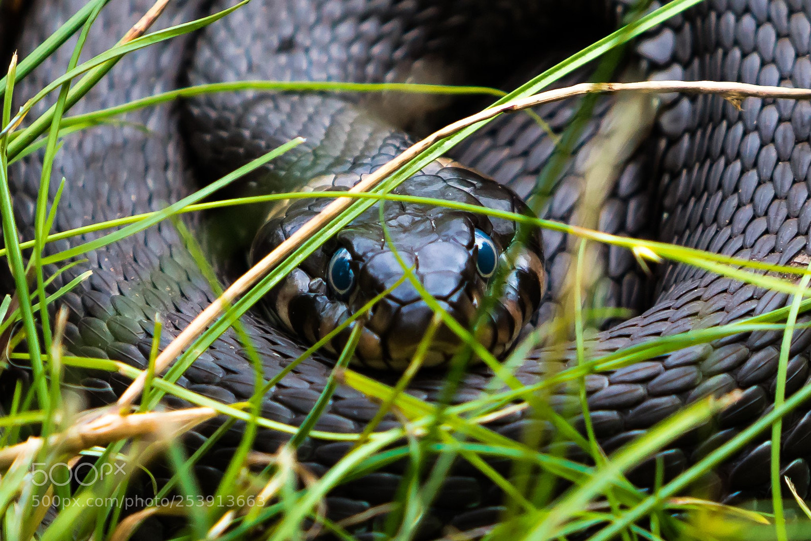 Canon EOS 7D Mark II sample photo. 21.jpg photography