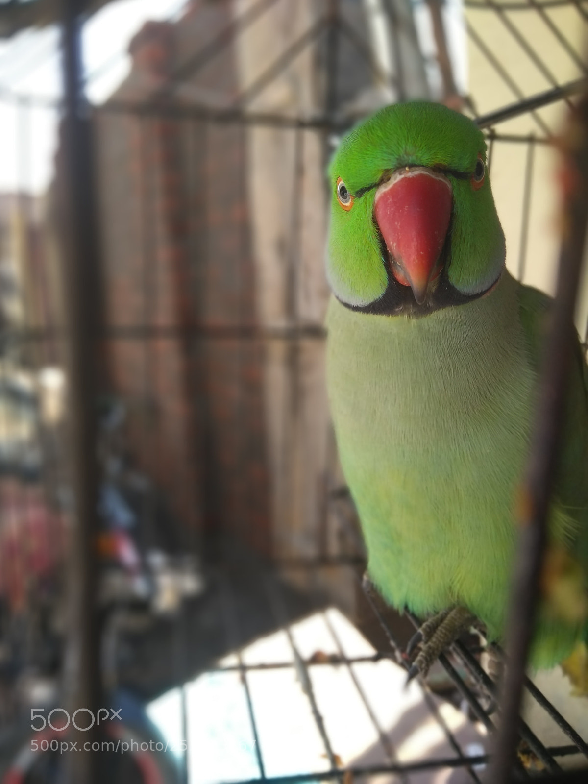 Motorola Moto G (5S) Plus sample photo. Untitled photography