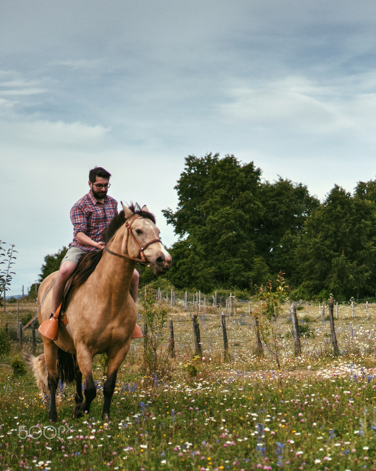 Sony E 35mm F1.8 OSS sample photo. Horse riding ' photography