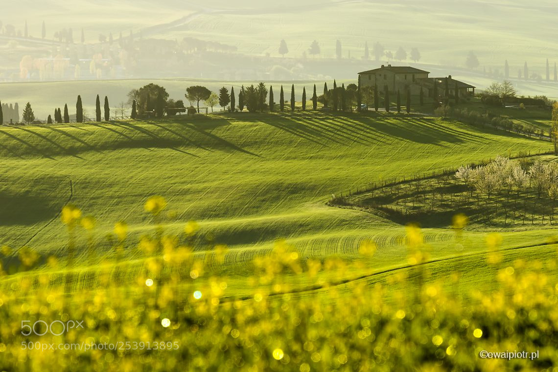 Canon EOS 7D Mark II sample photo. Spring in val d'orcia photography