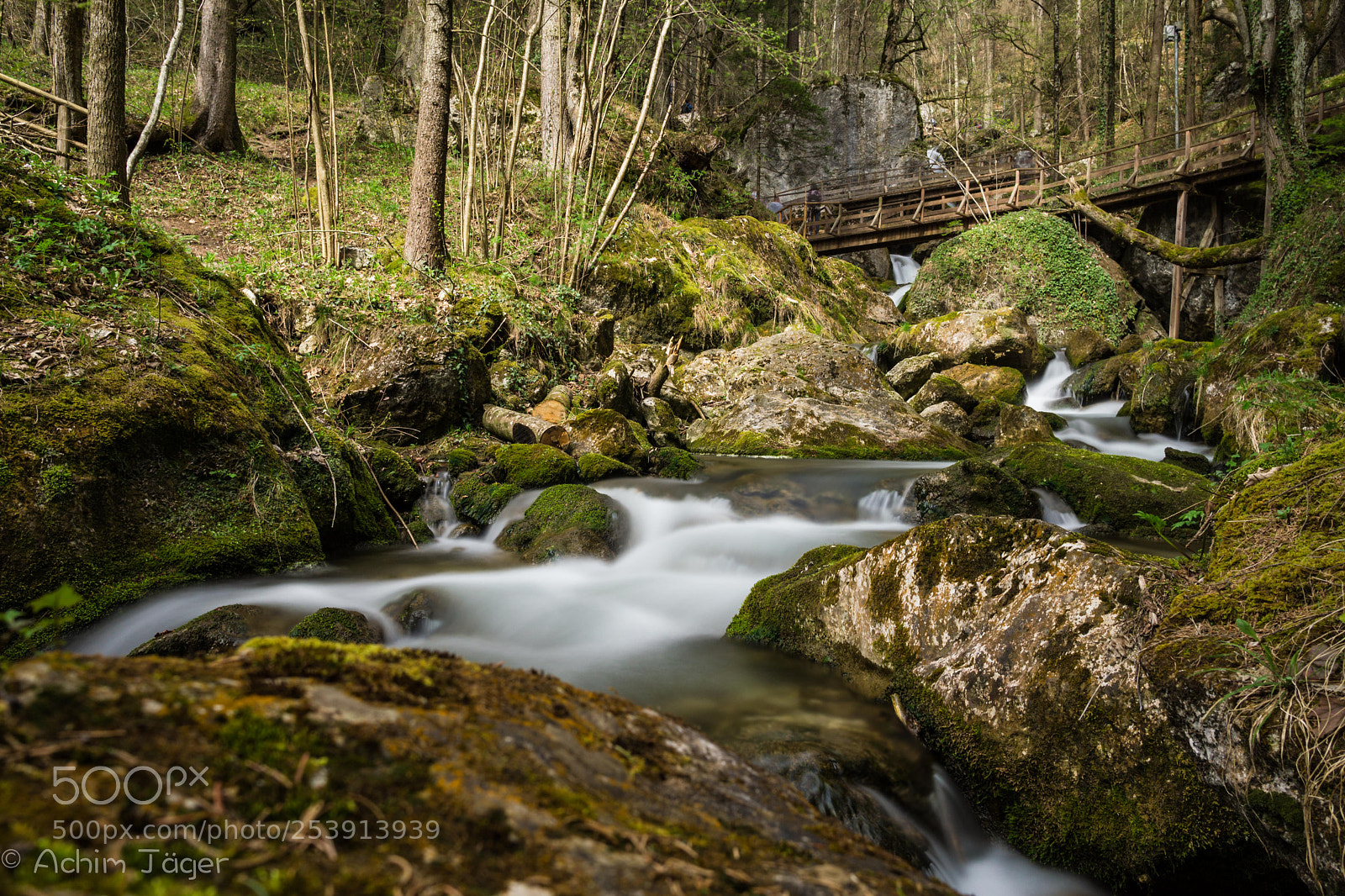 Sony a6000 sample photo. Green energy photography
