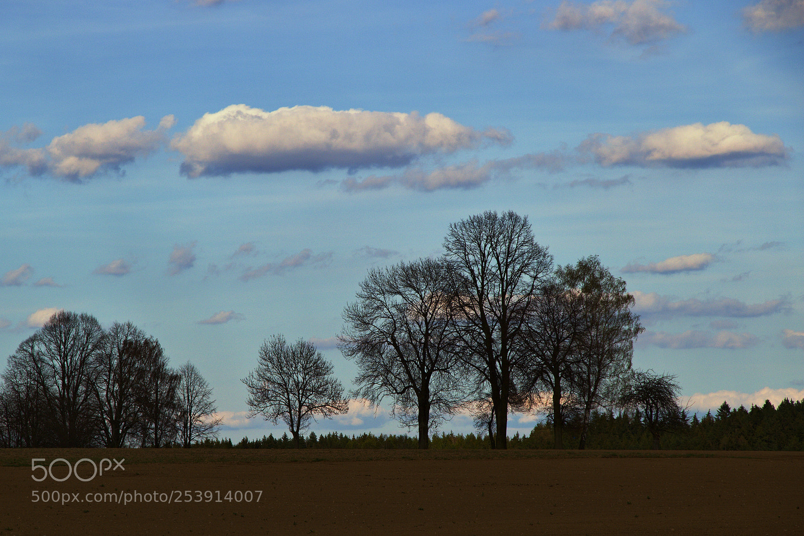 Canon EOS 600D (Rebel EOS T3i / EOS Kiss X5) sample photo. Evening in the highlands photography
