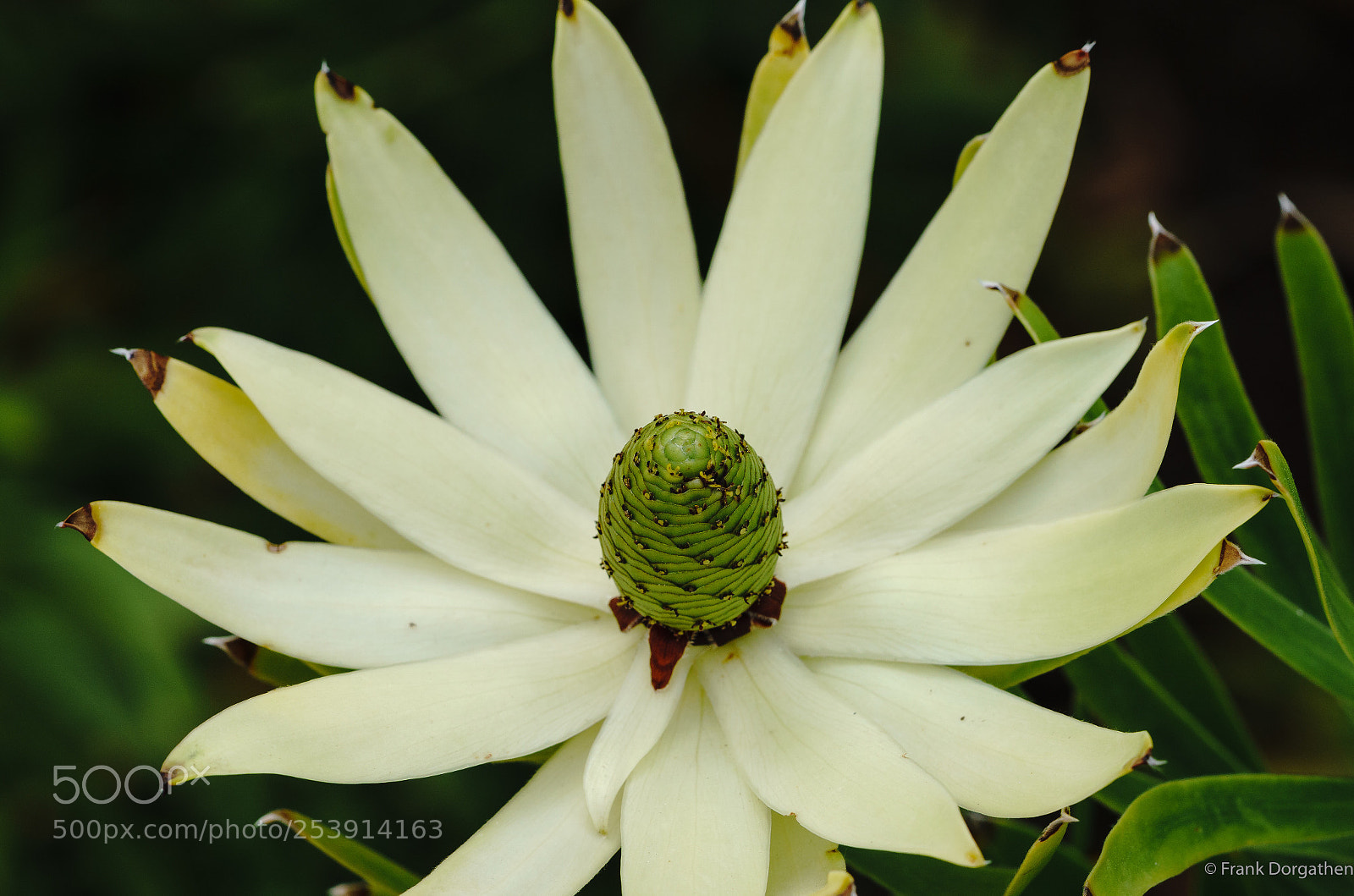 Sony a6000 sample photo. Open up photography