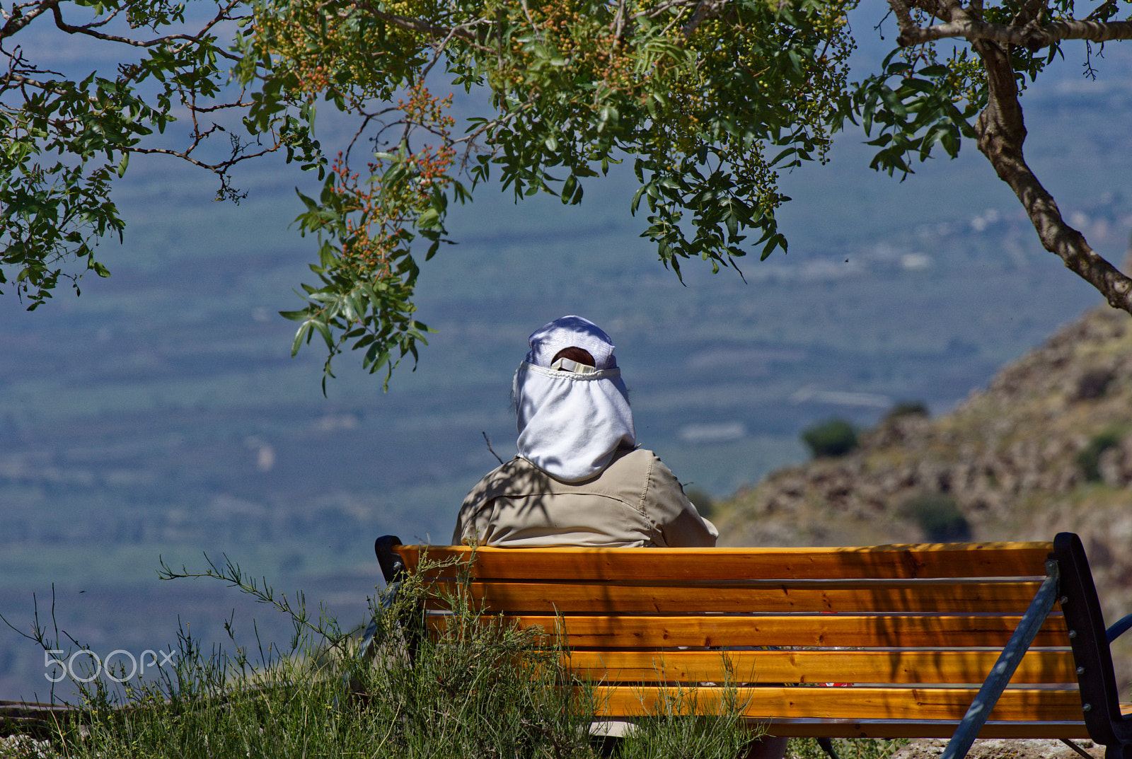 Nikon D7200 sample photo. Relax at nature photography