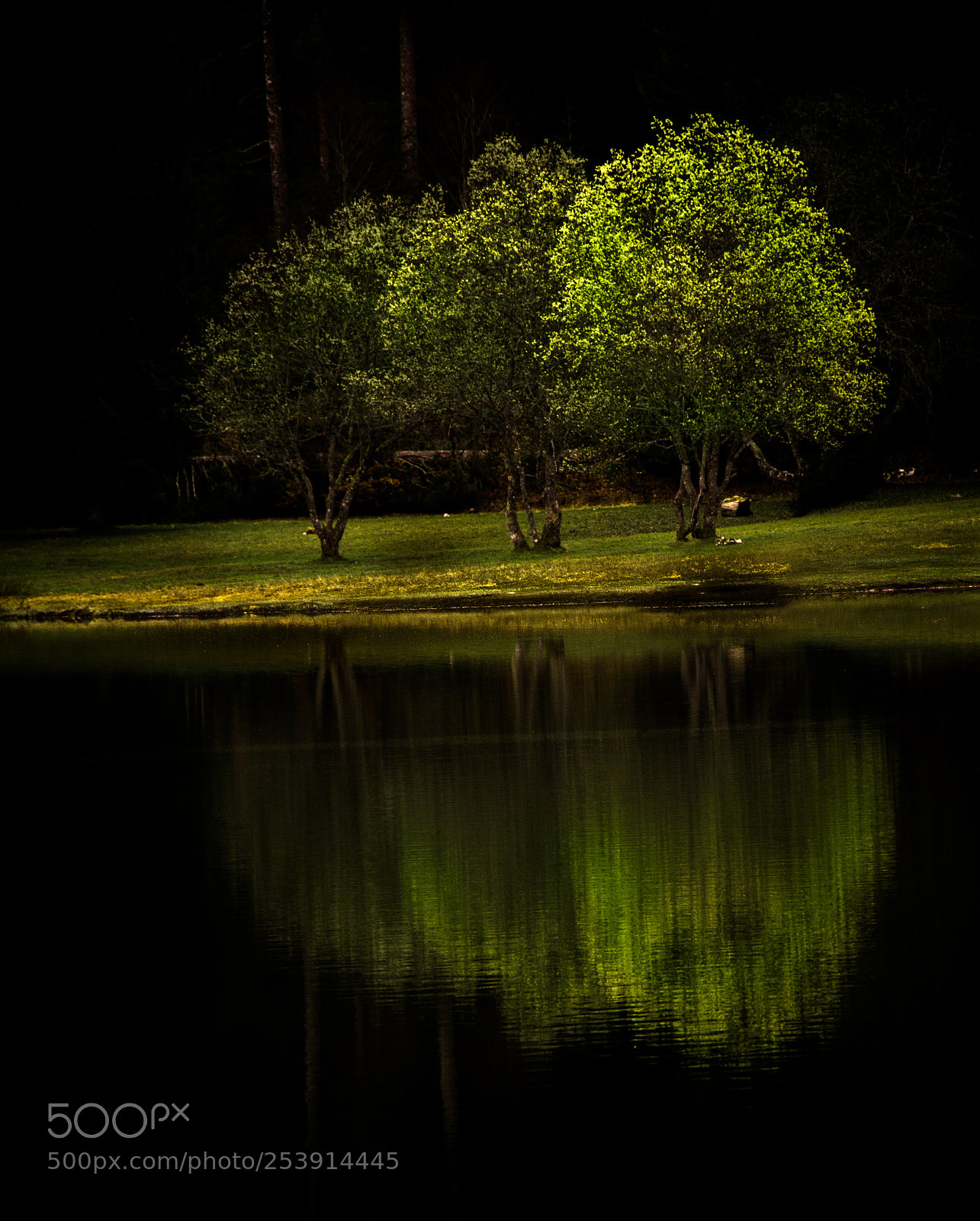Canon EOS 70D sample photo. Img photography