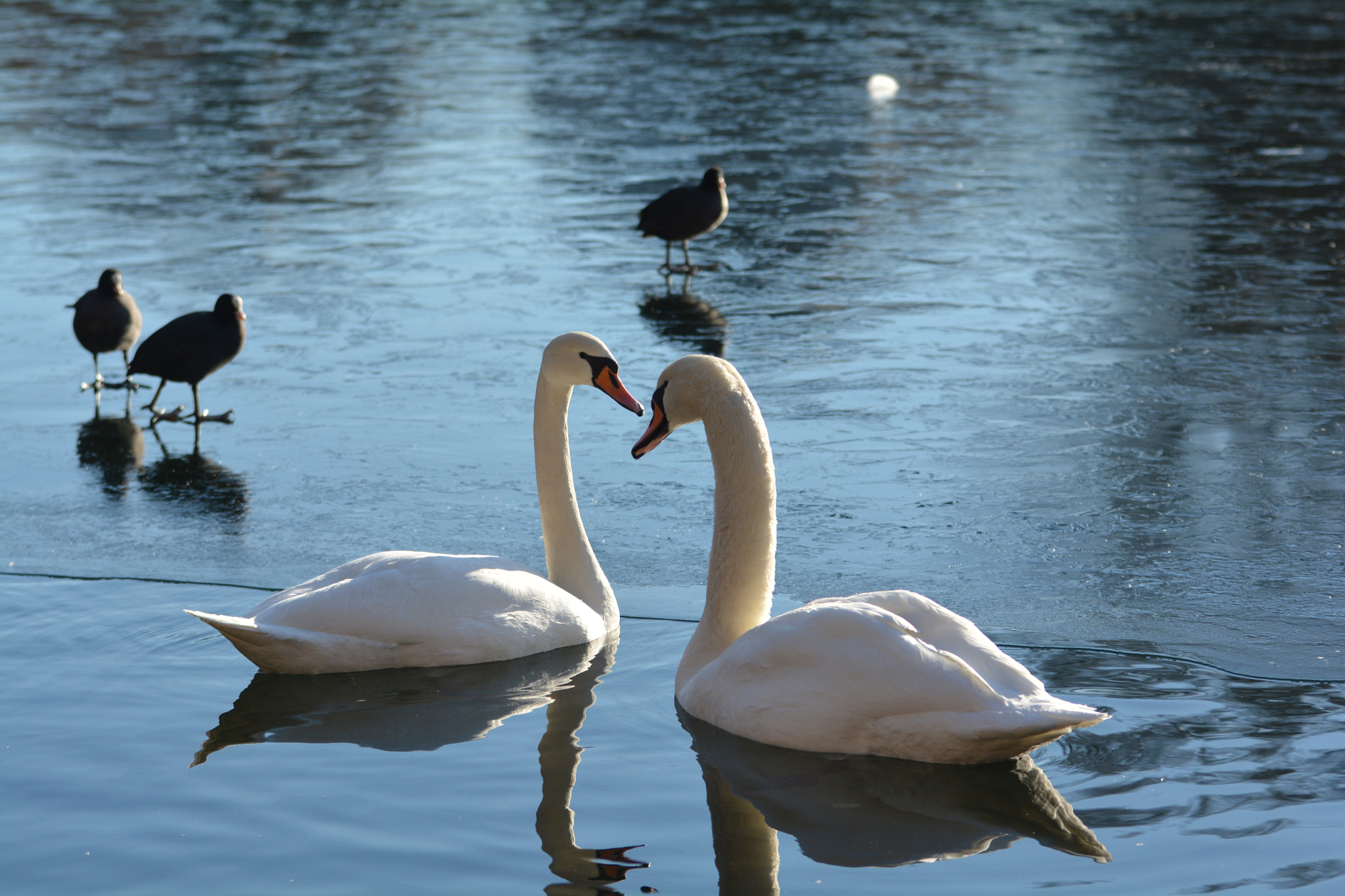 Nikon D7100 + Sigma 70-200mm F2.8 EX DG OS HSM sample photo. 765.jpg photography