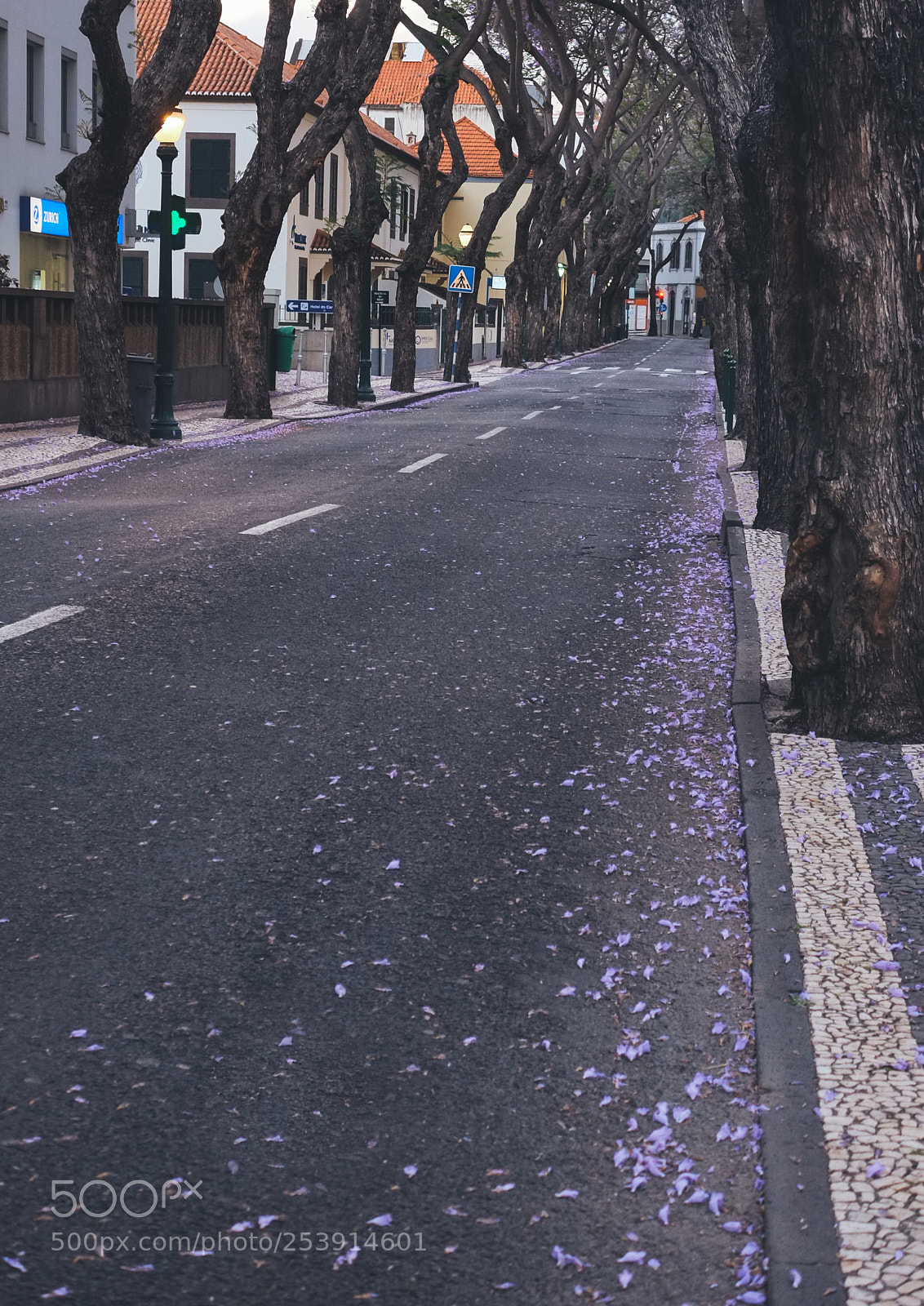 Fujifilm X-Pro1 sample photo. Purple street photography