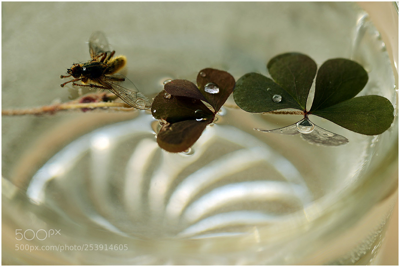 Nikon D600 sample photo. Залазак сунца photography