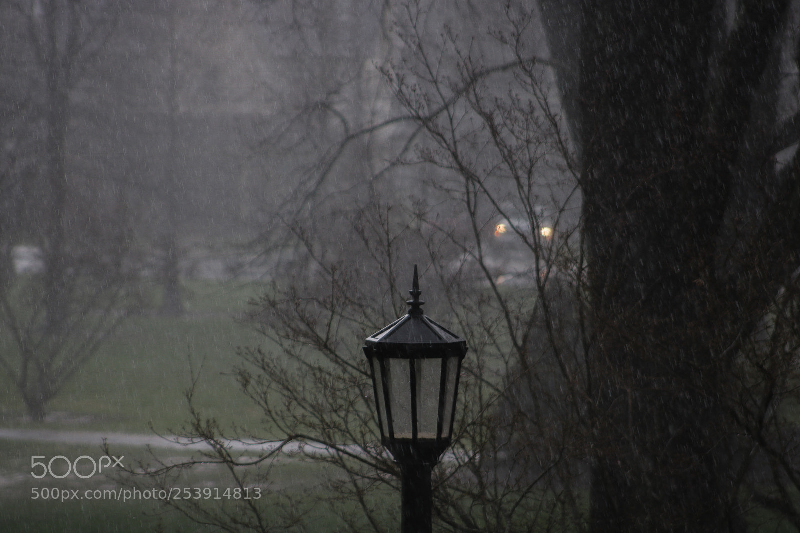 Canon EOS 750D (EOS Rebel T6i / EOS Kiss X8i) sample photo. April showers photography