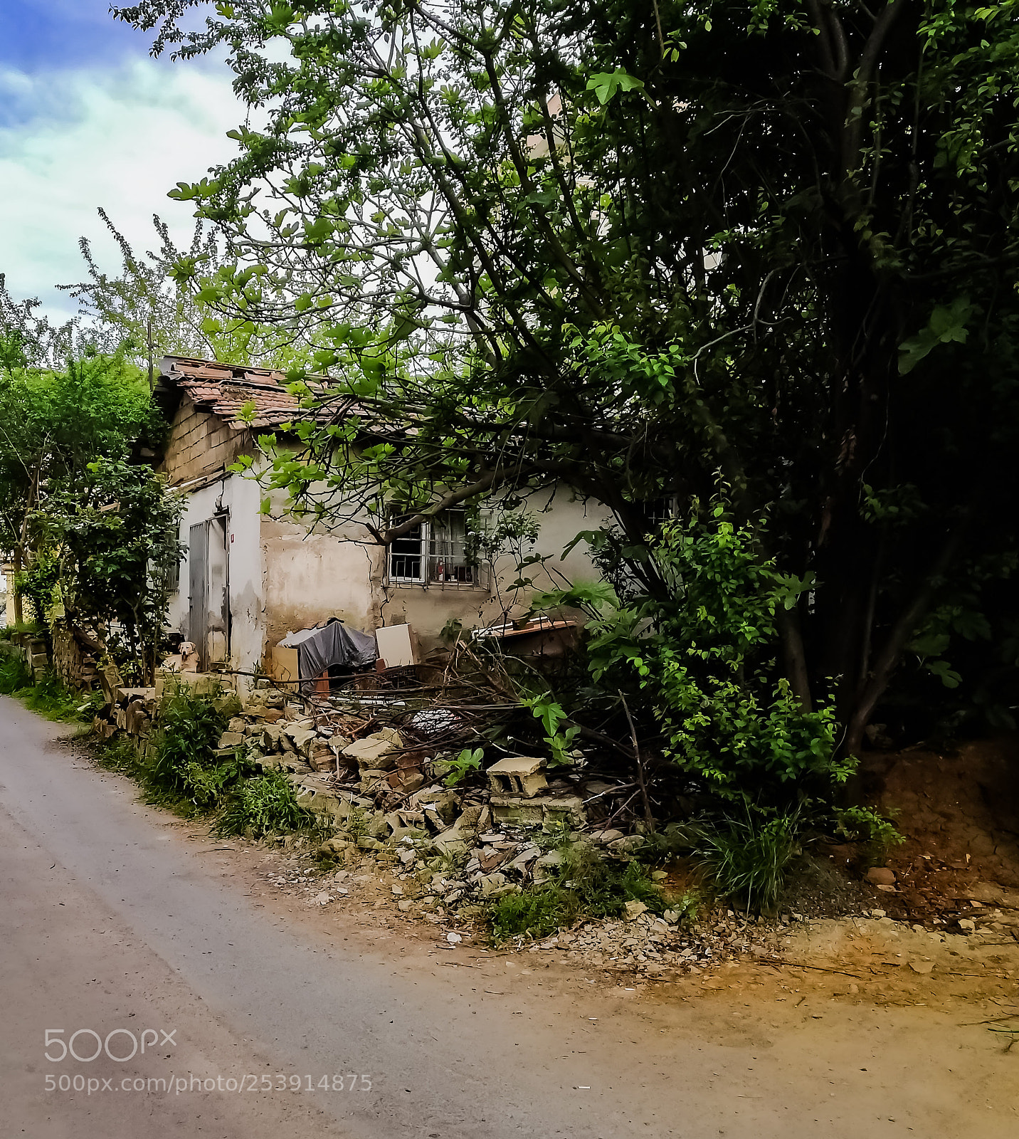 HUAWEI Mate 10 Lite sample photo. Untitled photography