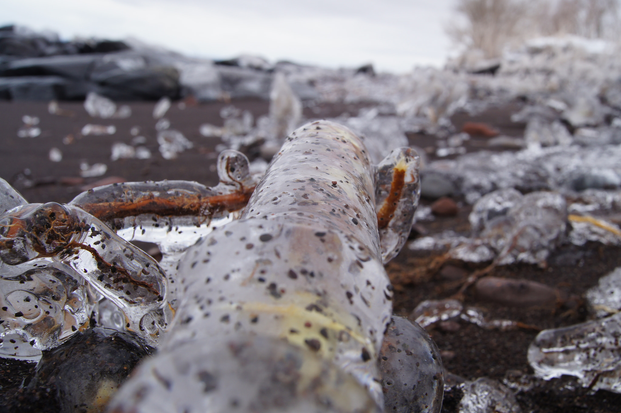 Sony SLT-A33 sample photo. Icy. photography