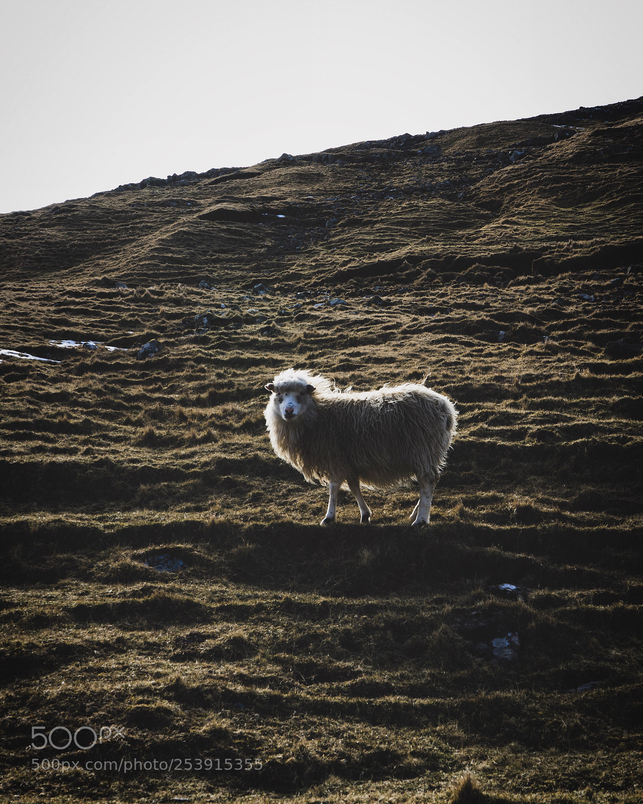 Sony a7 sample photo. Faroe photography