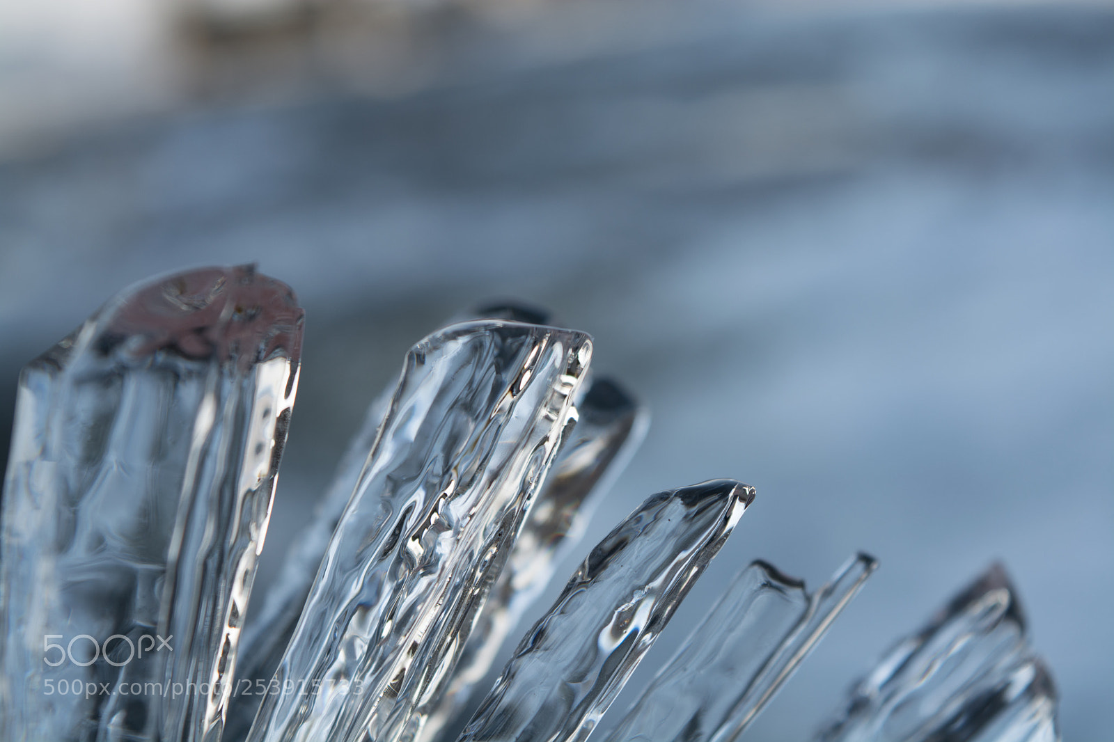 Nikon D5200 sample photo. Melts photography