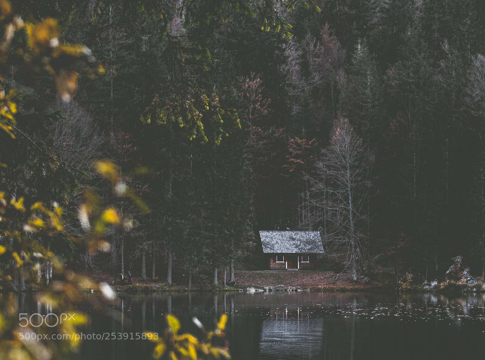 Canon EOS 750D (EOS Rebel T6i / EOS Kiss X8i) sample photo. Laghi di fusine photography