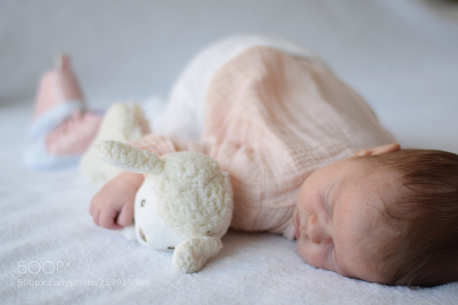 Nikon D3300 sample photo. Charlotte  photography