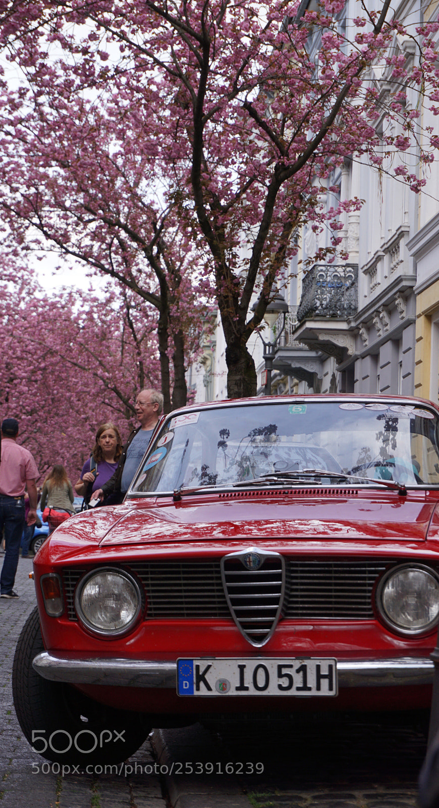 Sony a6000 sample photo. Red car, pink trees photography