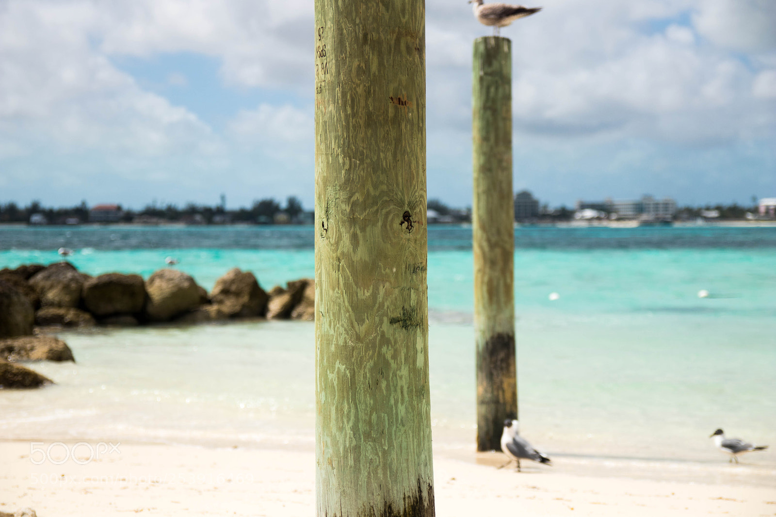 Canon EOS 80D sample photo. Balmoral island photography