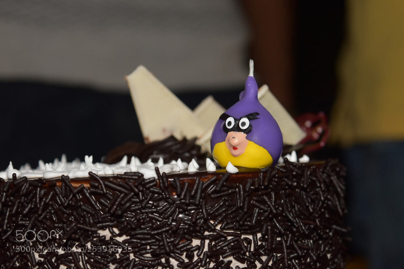 Nikon D5500 sample photo. Untitled photography