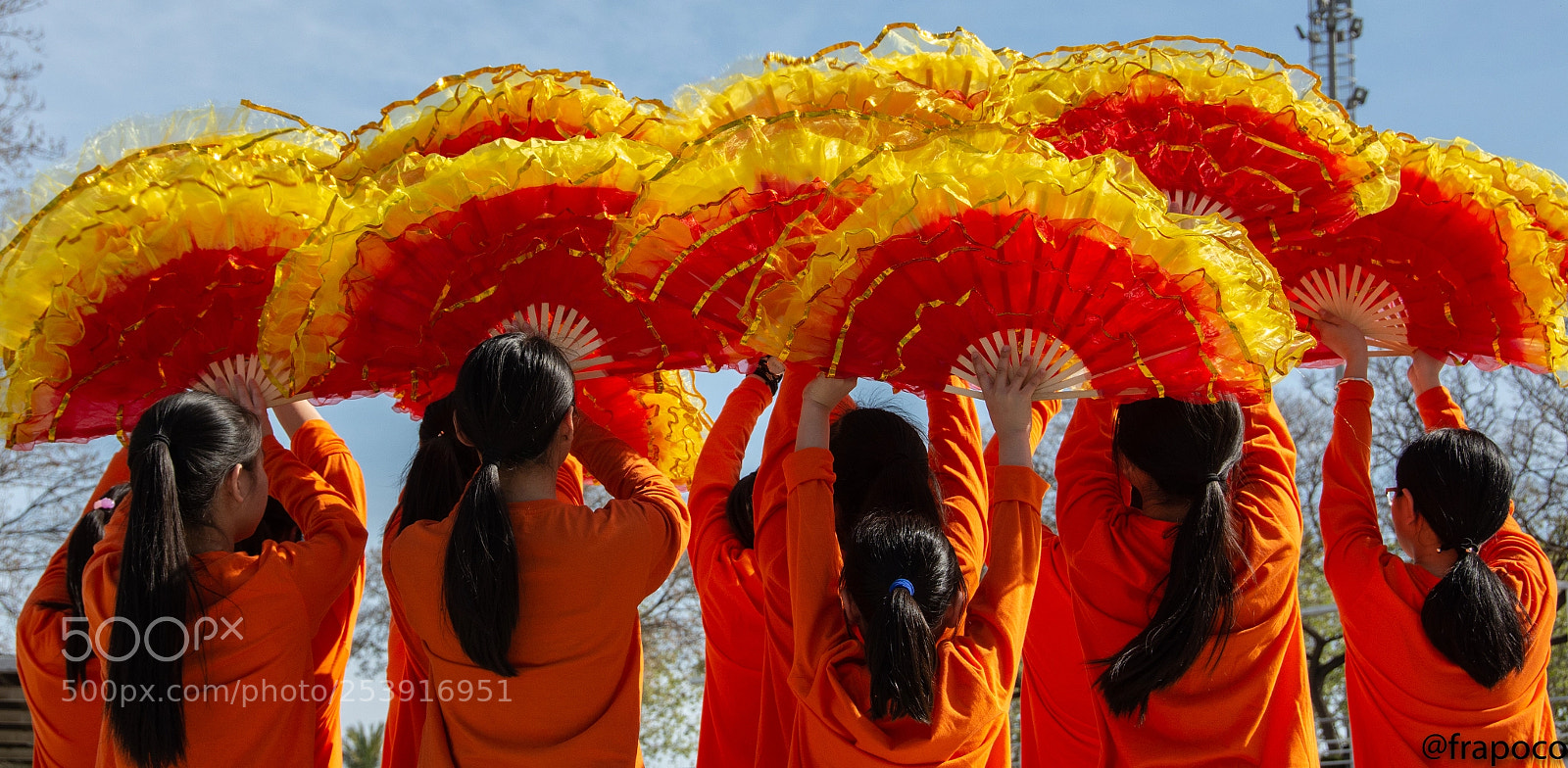 Nikon D7200 sample photo. Colorful fans photography