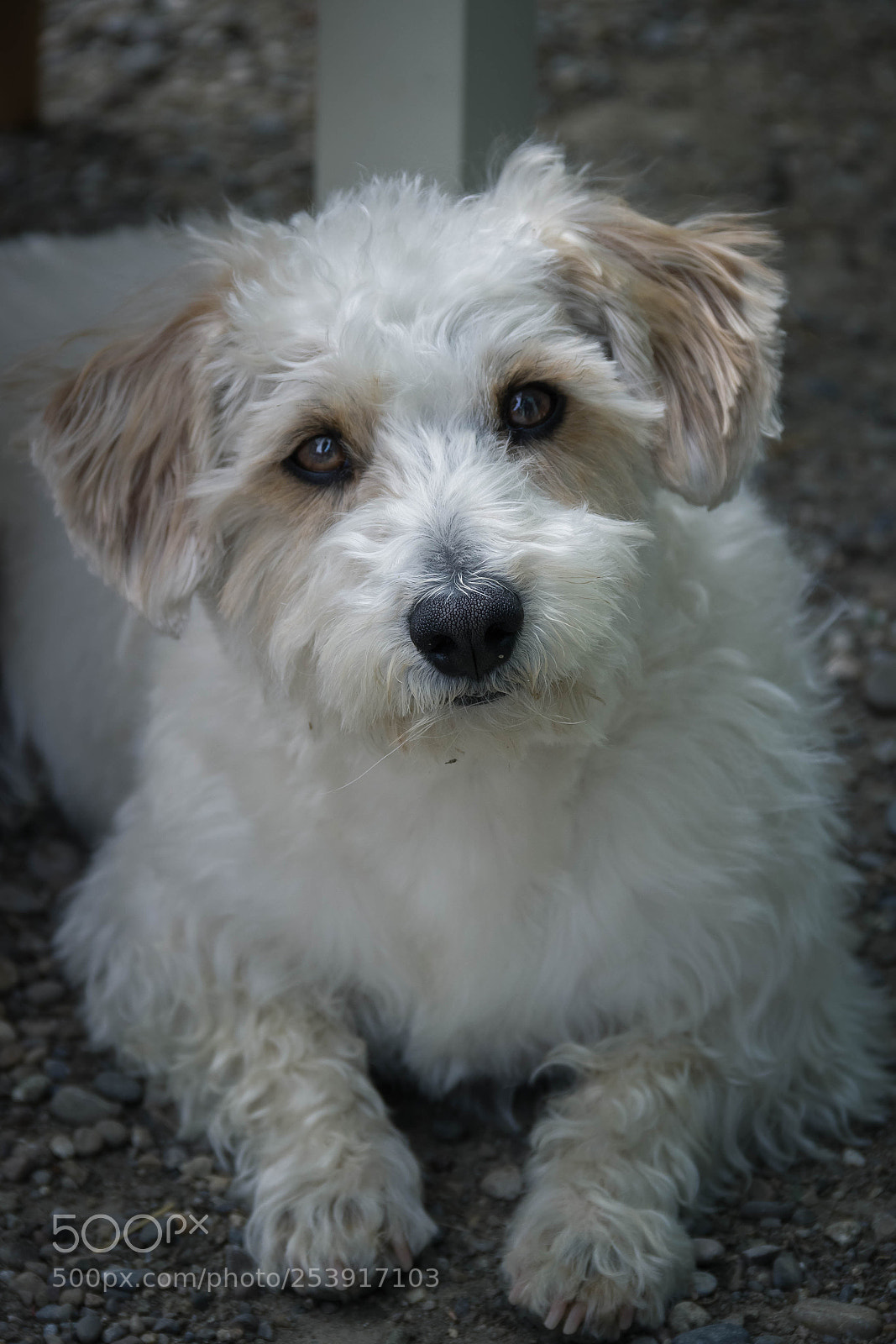 Canon EOS 600D (Rebel EOS T3i / EOS Kiss X5) sample photo. Tiens le regard... photography