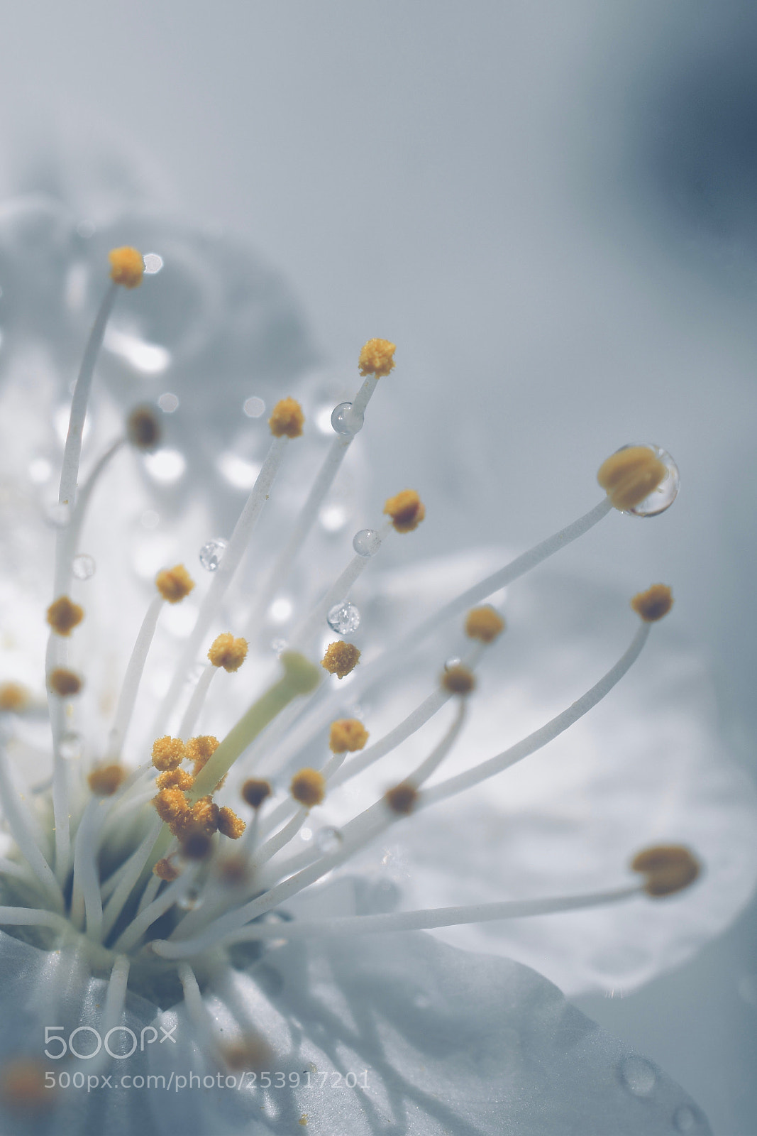 Nikon D5600 sample photo. . . . . . photography