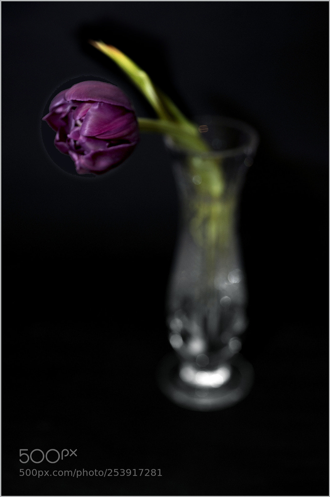 Nikon D700 sample photo. *** photography