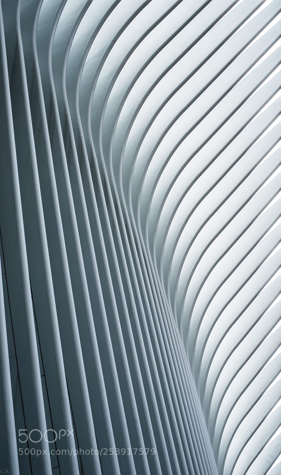 Nikon D800 sample photo. The oculus photography