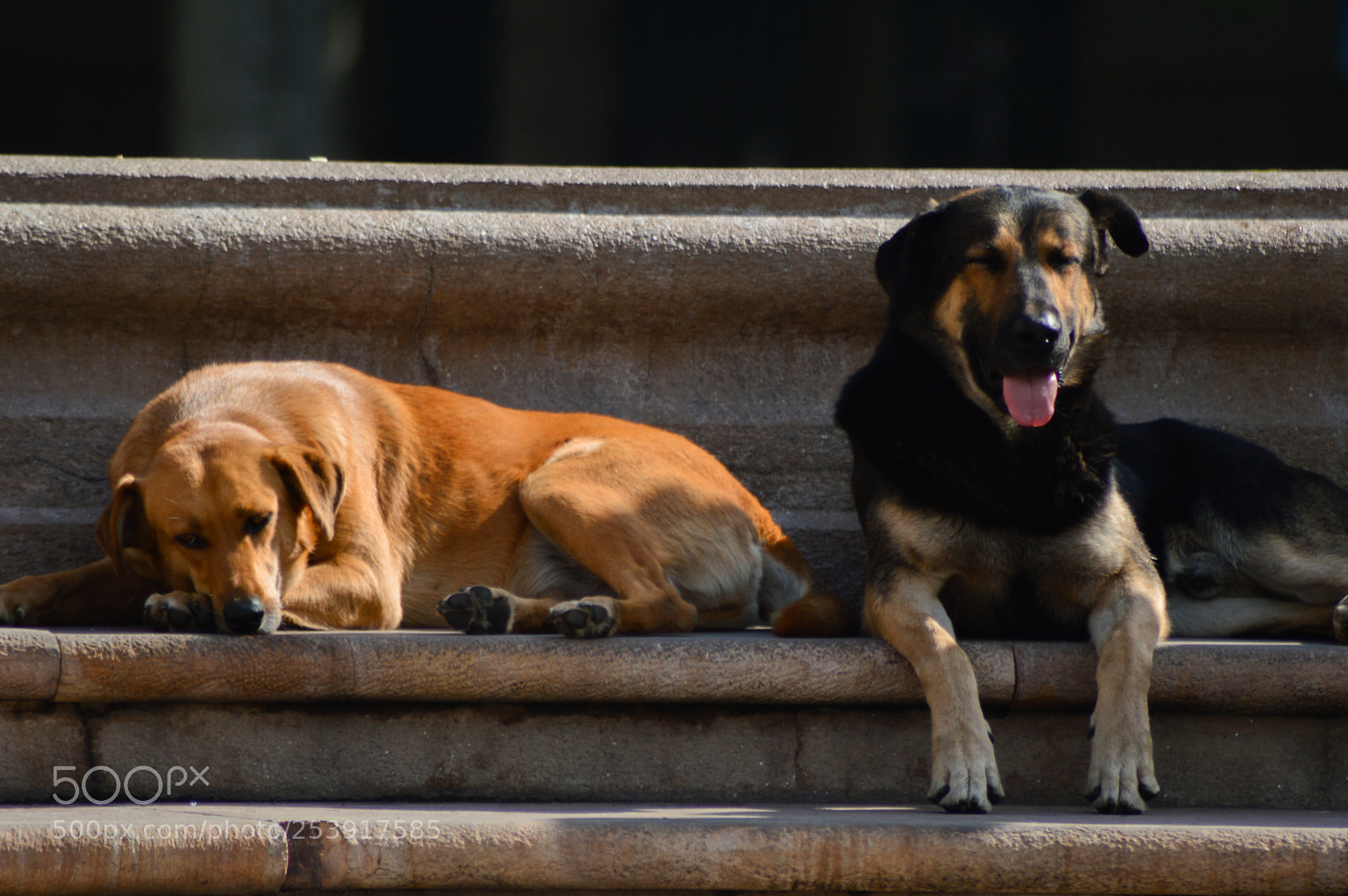 Nikon D3200 sample photo. El descanso photography