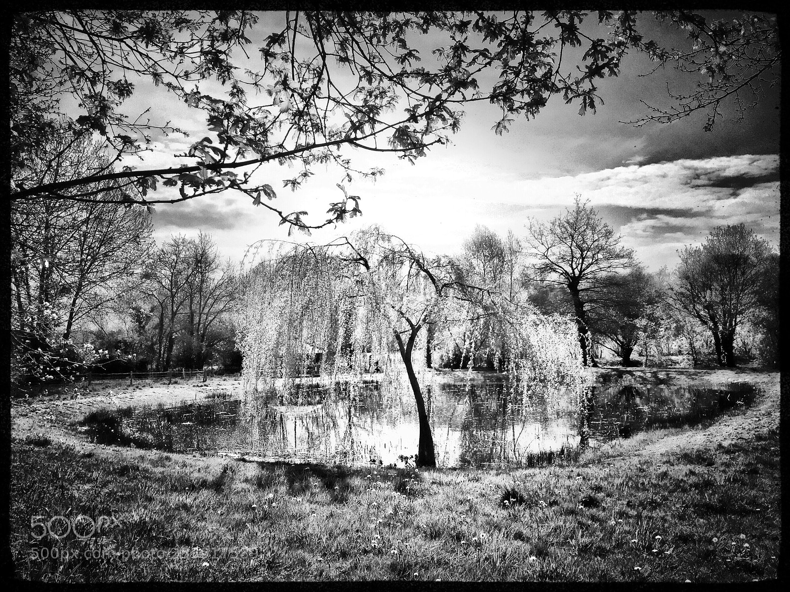 Apple iPhone 6 sample photo. Spring view... photography