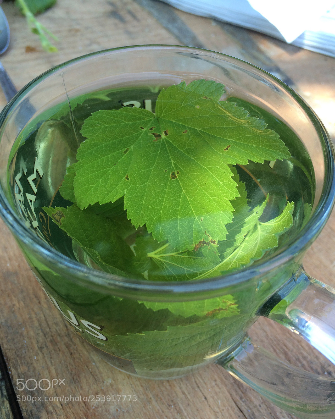 Apple iPhone 5s sample photo. Untitled photography