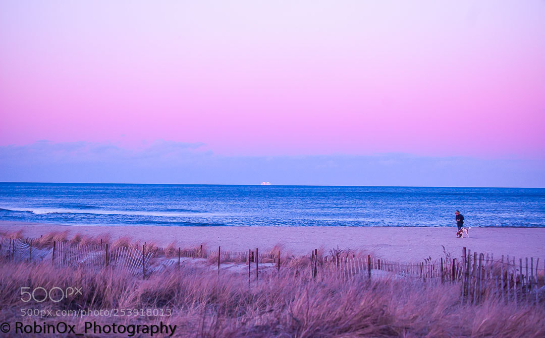 Nikon D40 sample photo. Shipondogbeach photography