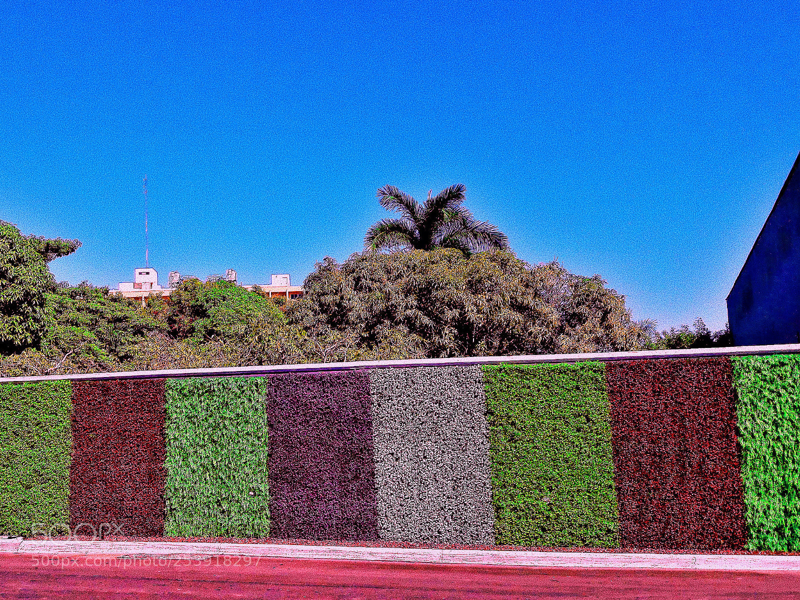 Samsung Galaxy J7 sample photo. Vertical gardens photography
