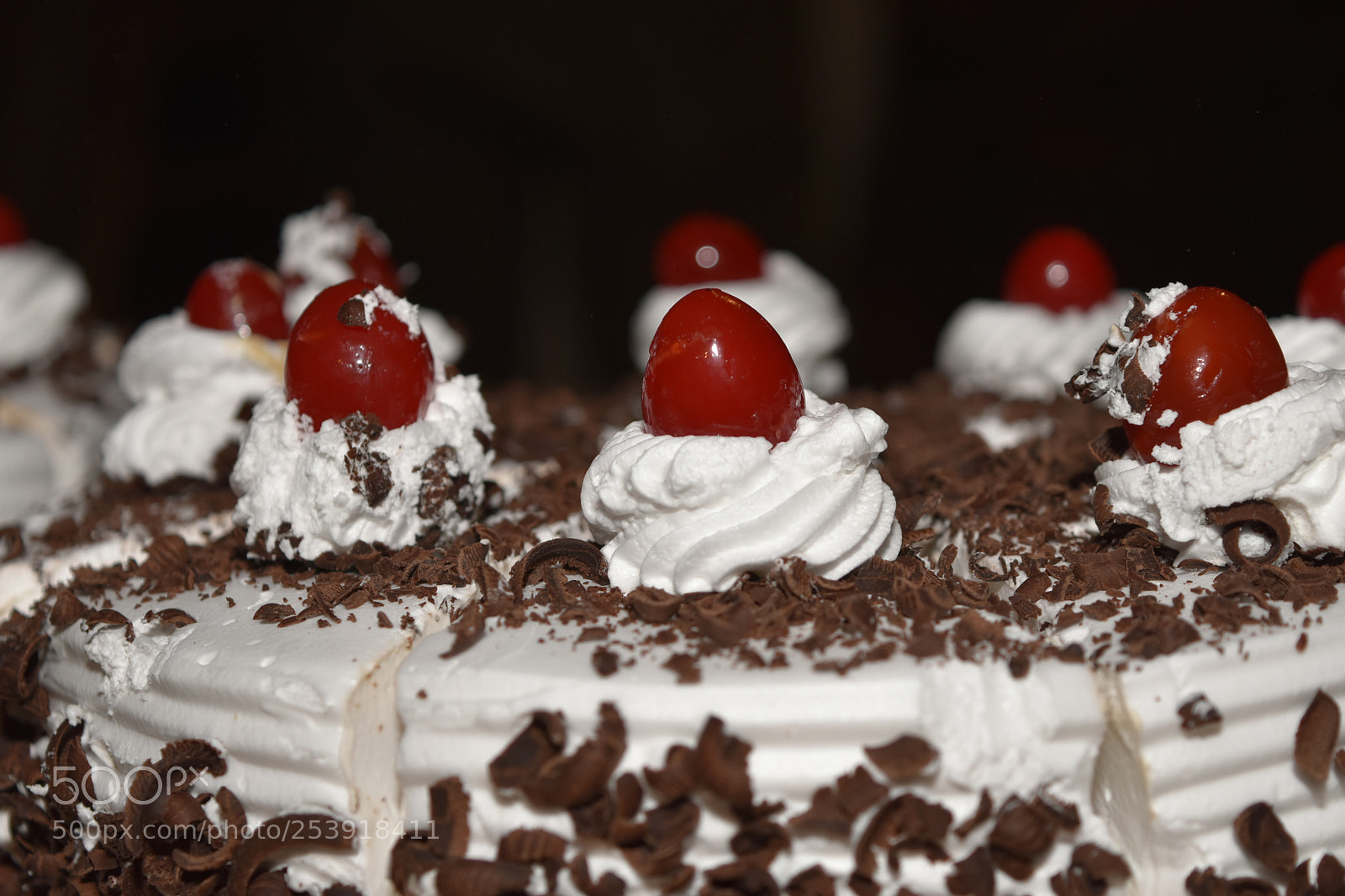 Nikon D5500 sample photo. Untitled photography