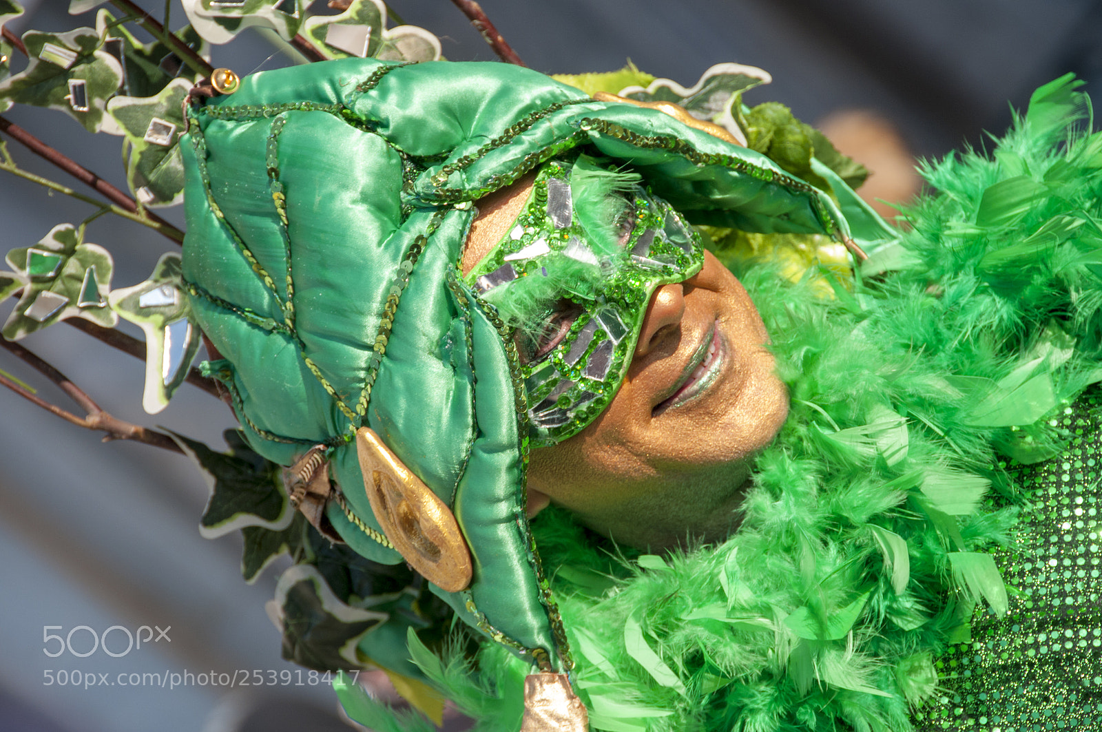 Nikon D300S sample photo. The carnival of venice 2018 photography