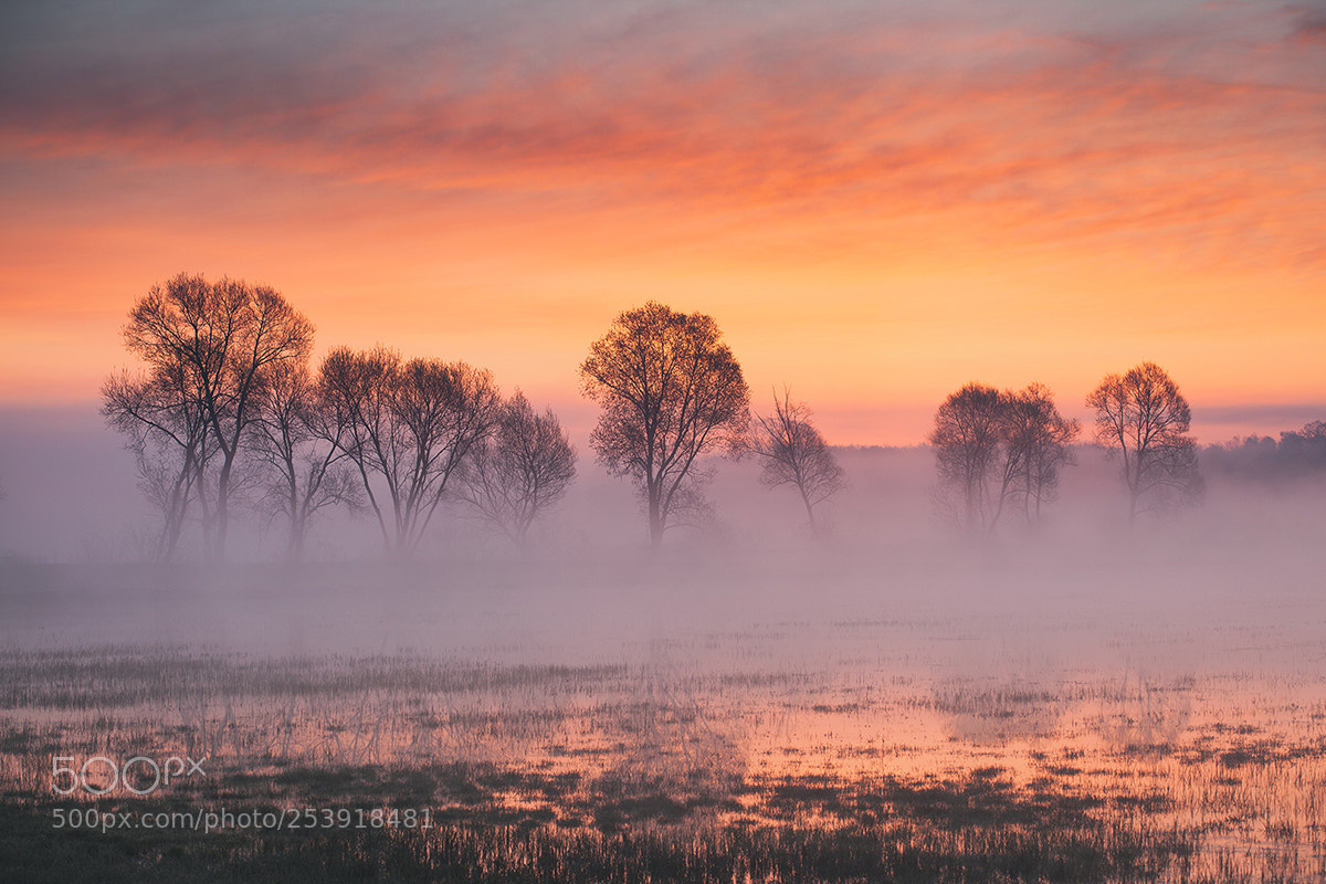 Canon EOS 5D Mark II sample photo. Fiery morning photography