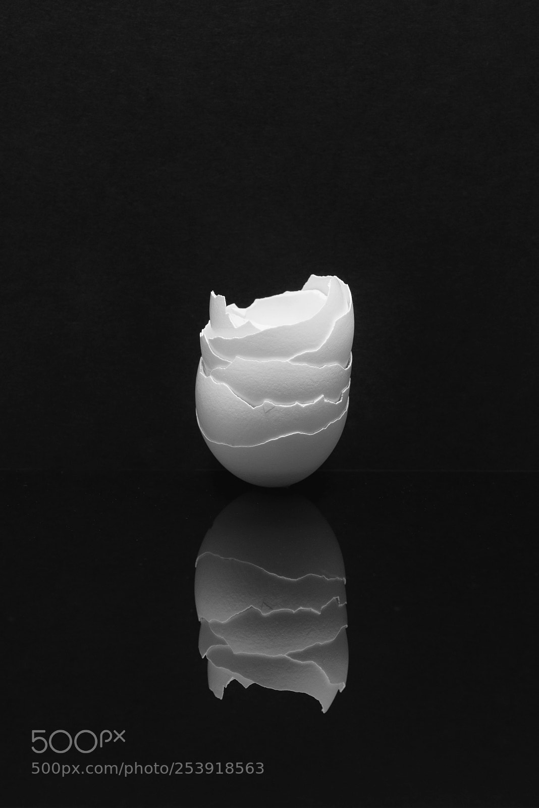 Nikon D800E sample photo. Untitled photography