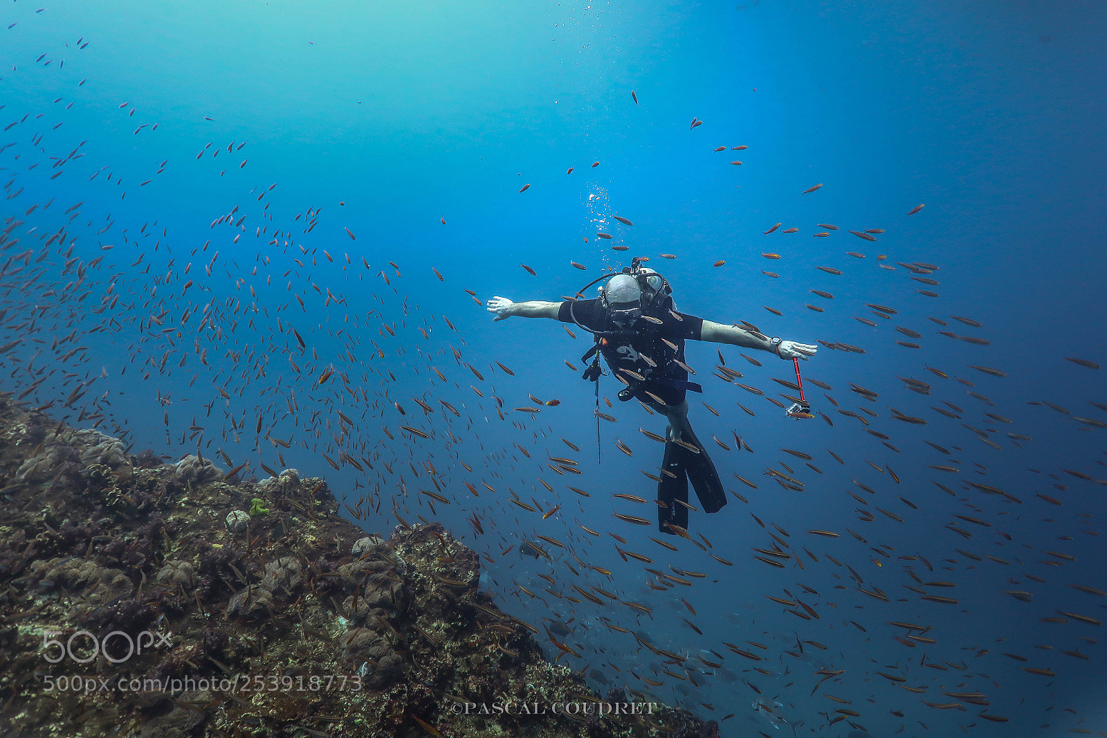 Canon PowerShot G7 X Mark II sample photo. A diver's freedom photography