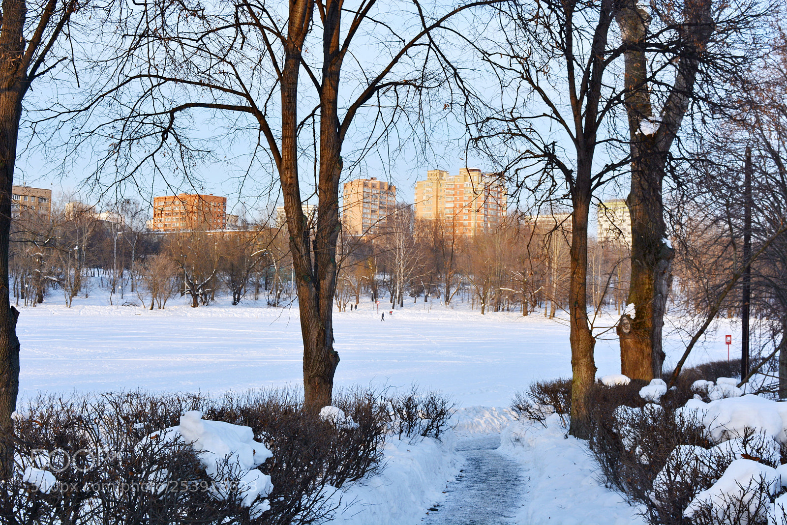 Nikon D5200 sample photo. Early spring - Начало весны photography
