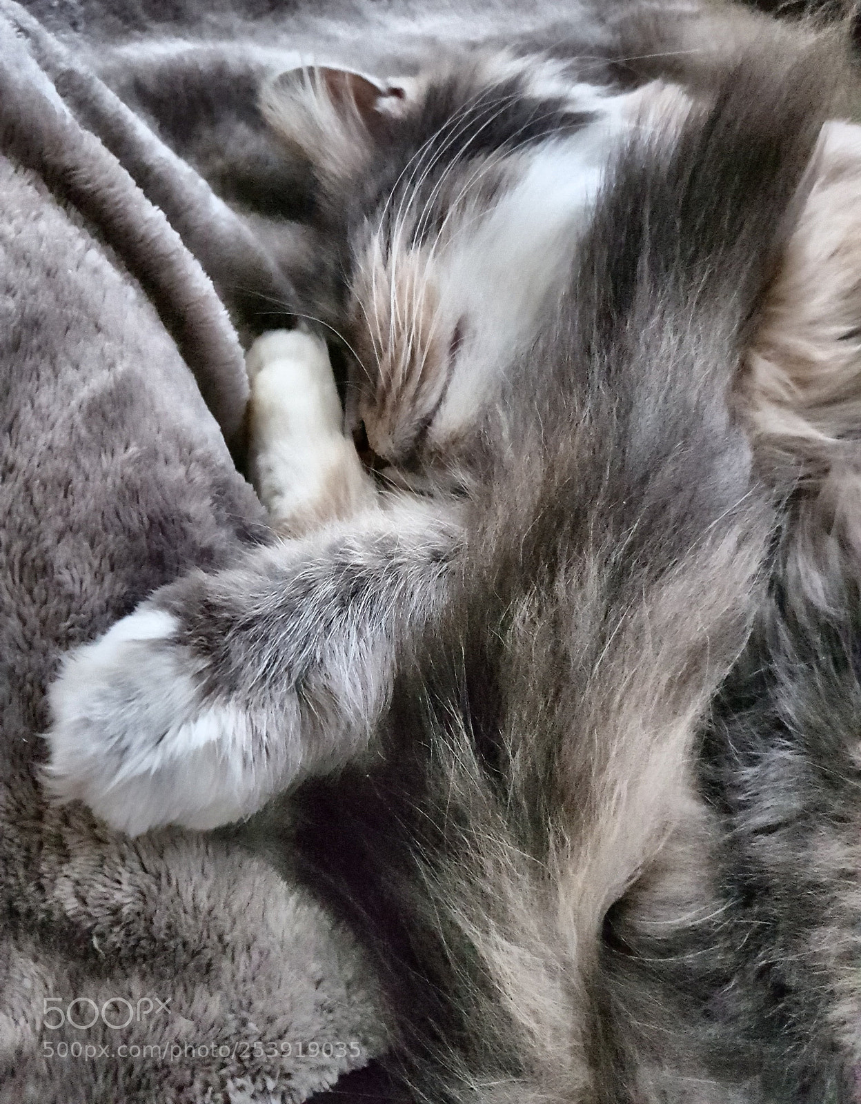 Samsung Galaxy S7 sample photo. Untitled photography
