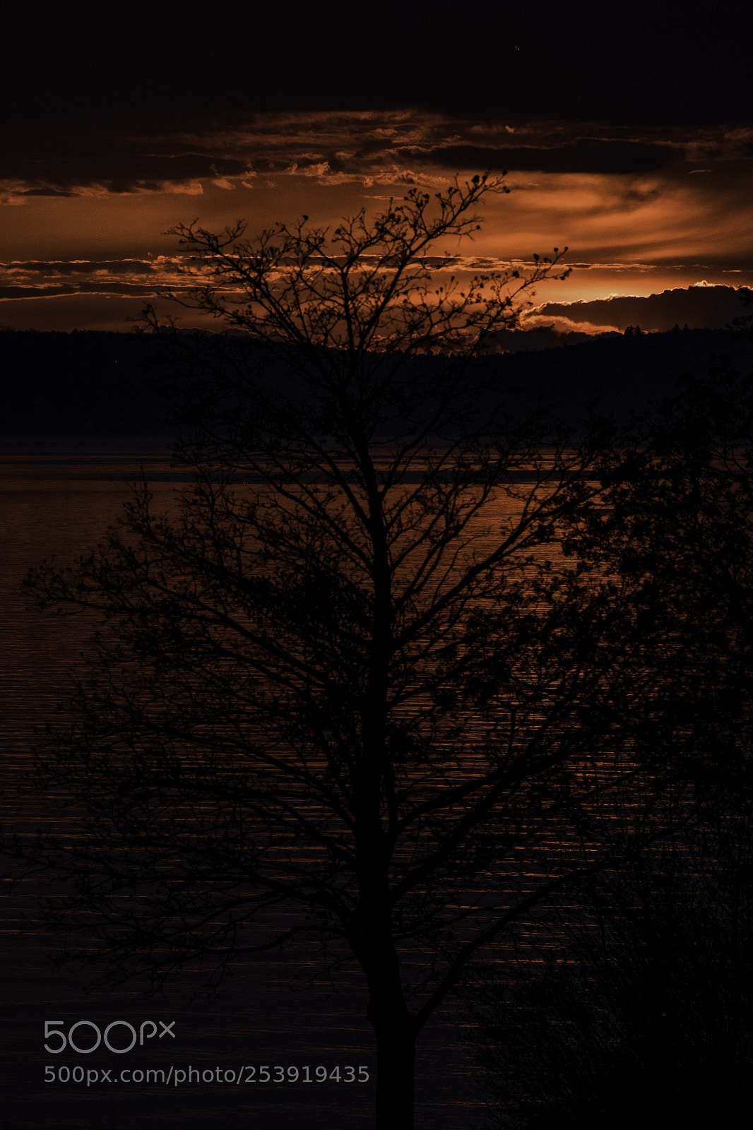 Fujifilm X-T1 sample photo. Red mouth above konstanz photography