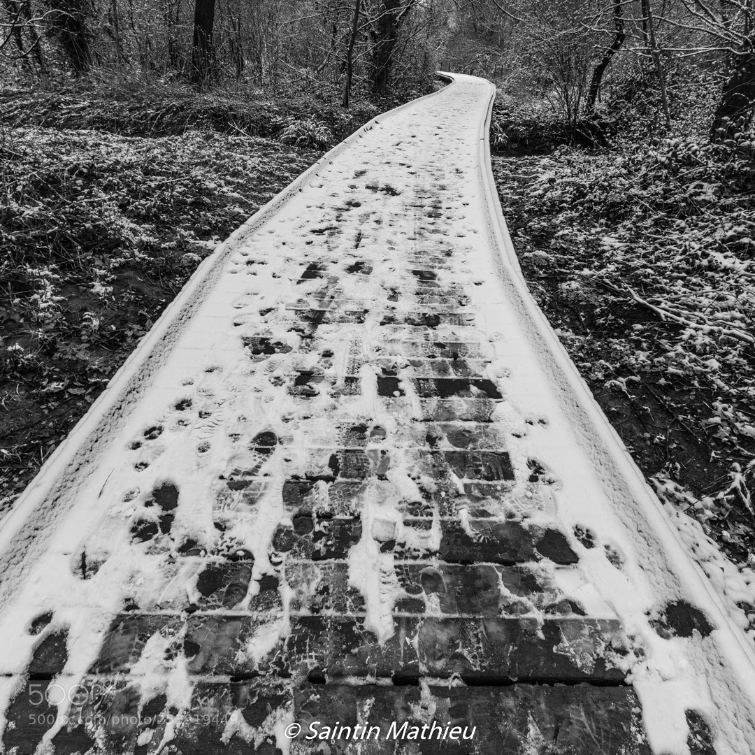 Canon EOS 7D Mark II sample photo. Le chemin photography