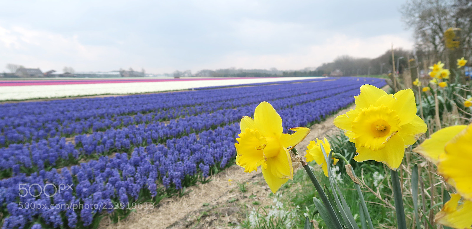 Canon PowerShot G7 X sample photo. Img photography