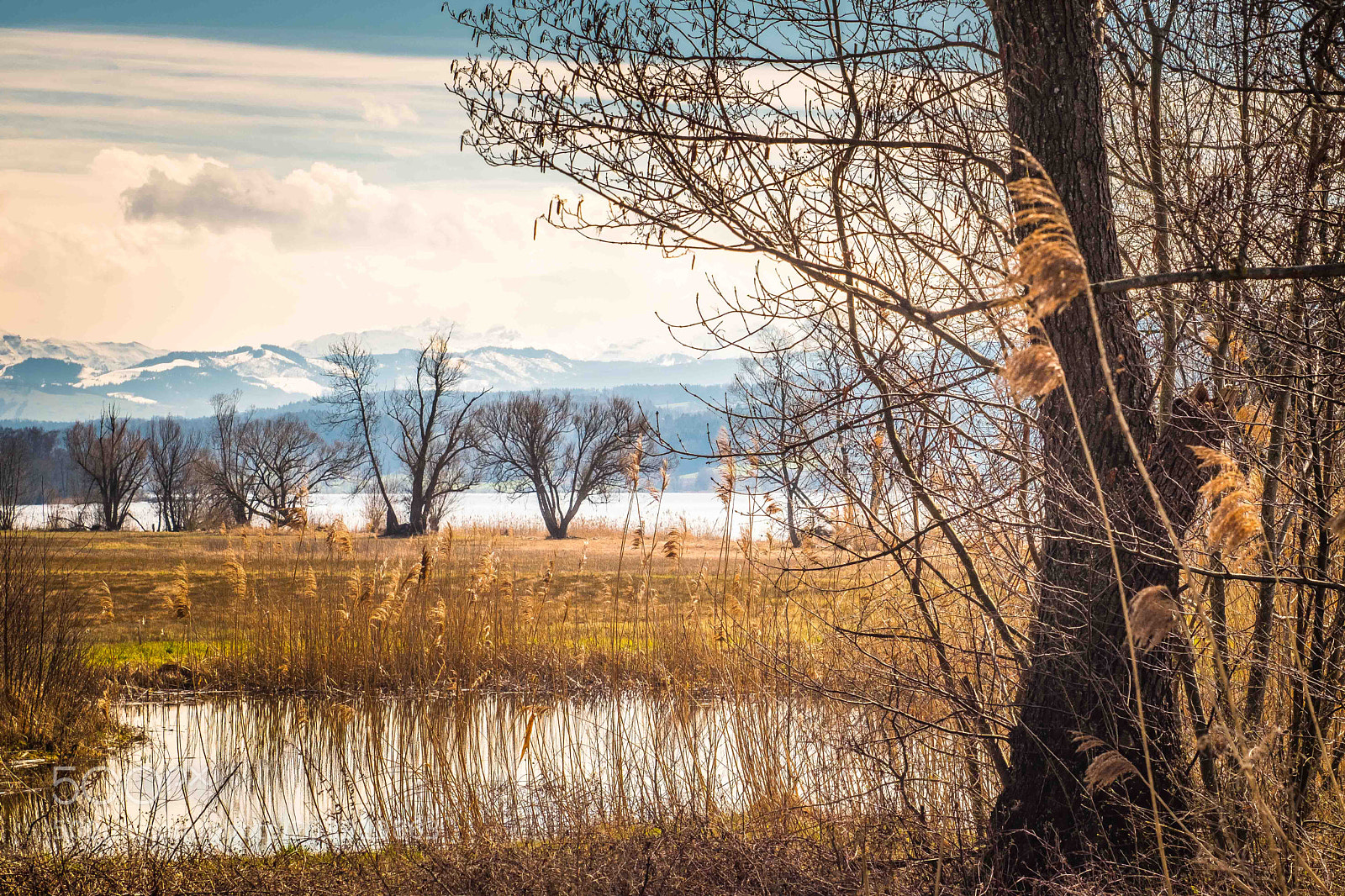 Fujifilm X-T2 sample photo. Greifensee, switzerland photography