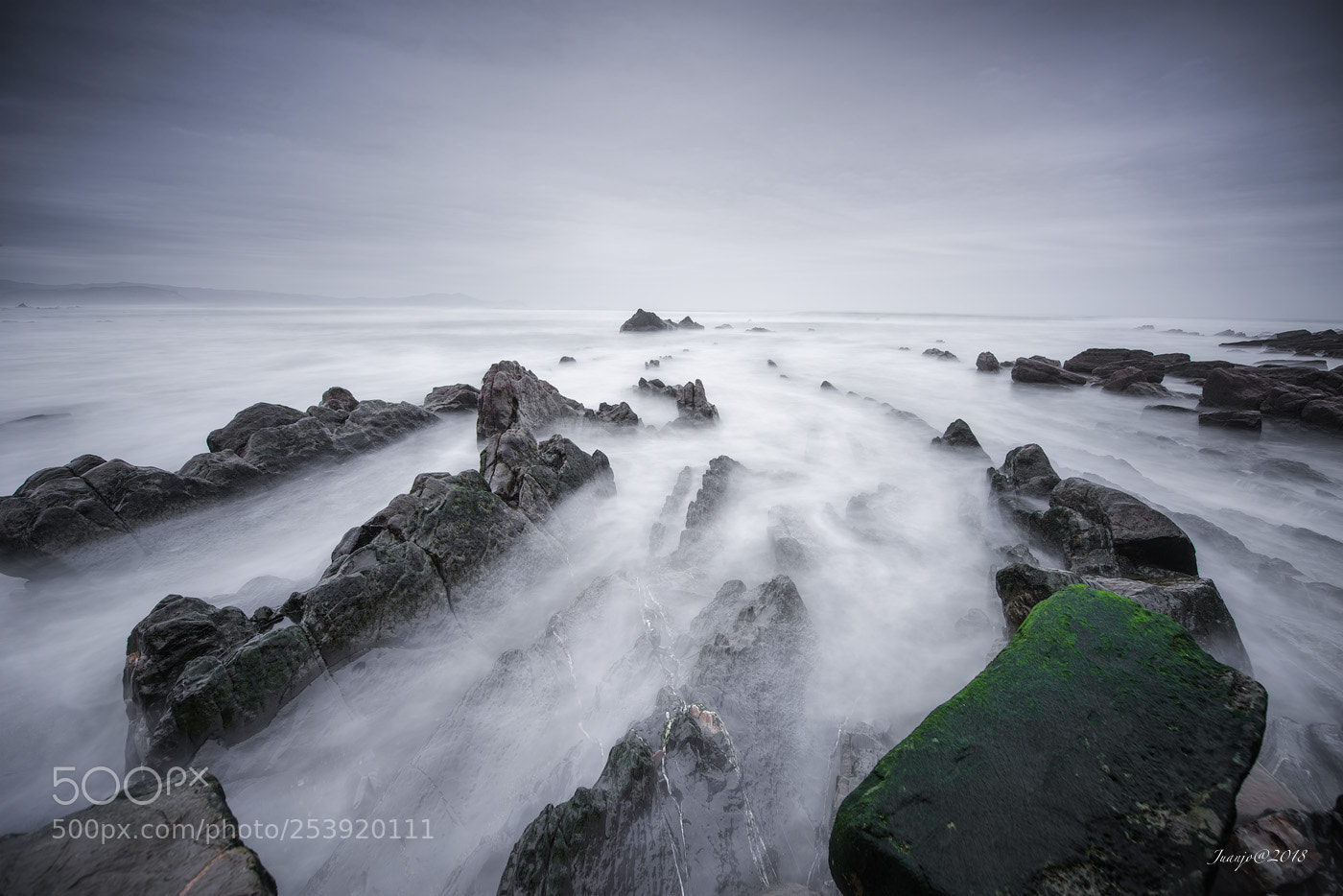 Nikon D810 sample photo. While the tide goes photography